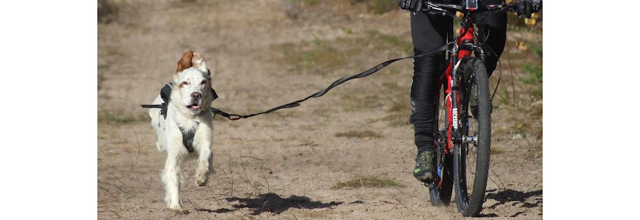Nittedalsløpet Barmark NC og WC
